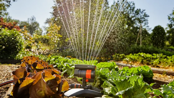 Gardena Pipeline Sprinkler System Oscillating Sprinkler - Bloomling  International